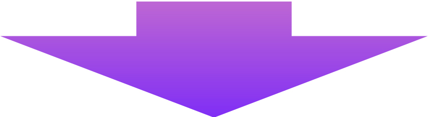 purple_01