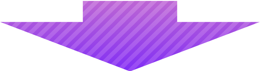 purple_02